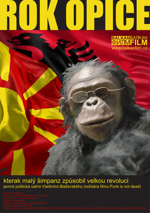 Poster Година на мајмунот 2019
