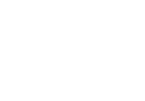 Savage Streets — Logos 6
