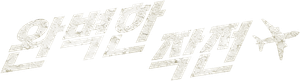 완벽한 작전