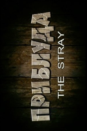 The Stray