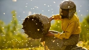 Honeyland (2019)