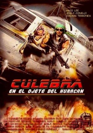 Poster Culebra, en el ojete del huracán 2011