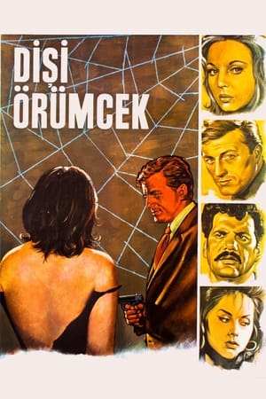 Poster Dişi Örümcek (1963)