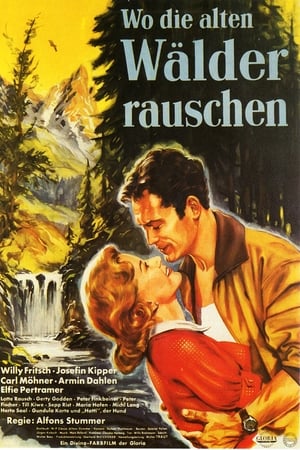 Wo die alten Wälder rauschen poster