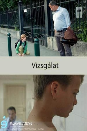 Vizsgálat 2016