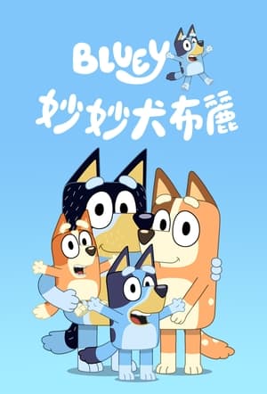 Image 布鲁伊