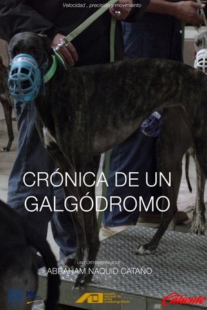 Poster Crónica de un galgódromo (2020)