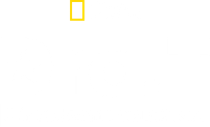 Dr. T, Lone Star Vet — Logos 2