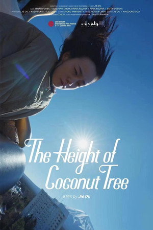 The Height of the Coconut Trees 6