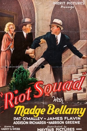 Riot Squad poster