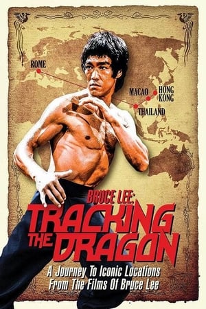 Poster Bruce Lee: Tracking the Dragon 2016