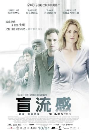 Poster 盲流感 2008