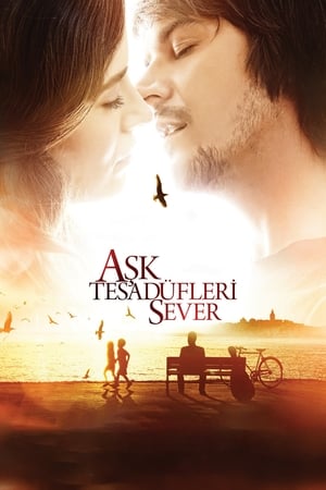 Poster Aşk Tesadüfleri Sever 2011