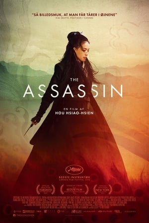 Poster The Assassin 2015