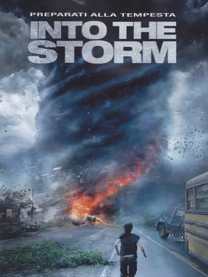 Into the Storm (2014)