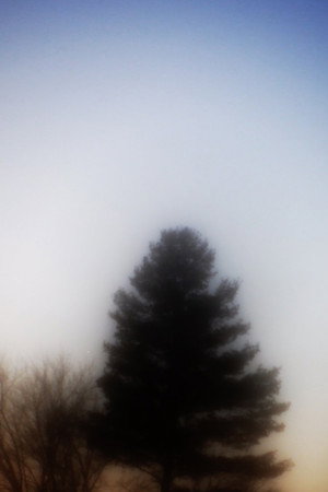 Song of Frozen Lake (2024)