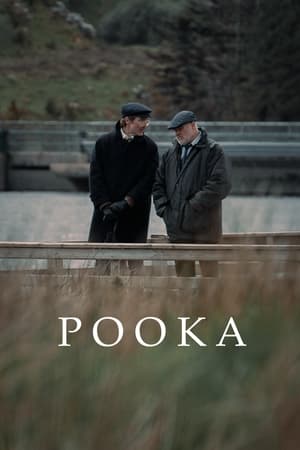 Poster Pooka ()