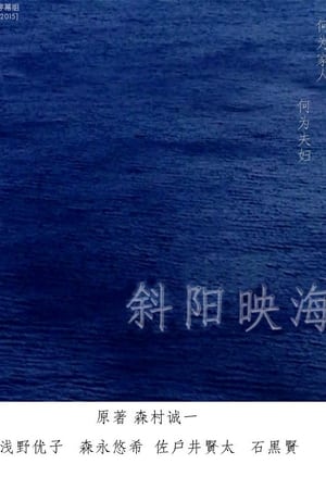 Poster 海の斜光 (2014)