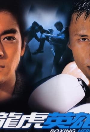 Poster Boxing Hero (2003)