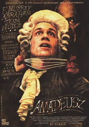 Image Amadeusz