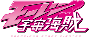 Bodacious Space Pirates — Logos 1