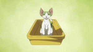 Nyaight of the Living Cat: 1×7