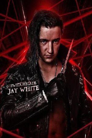 Naujametinis Pažadas