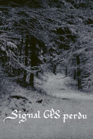 Image GPS Signal Lost