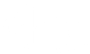 Damo — Logos 1