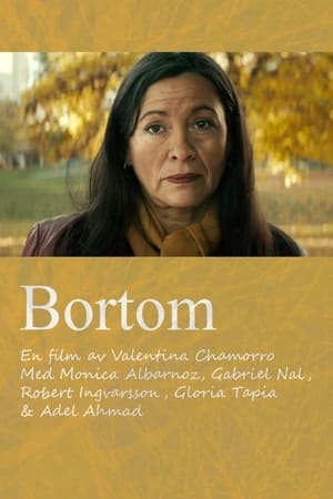 Poster Bortom 2014