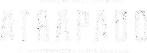 Capturado — Logos 5