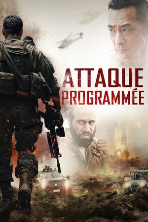 Image Attaque programmée