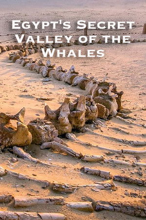 Egypt's Secret Valley of the Whales