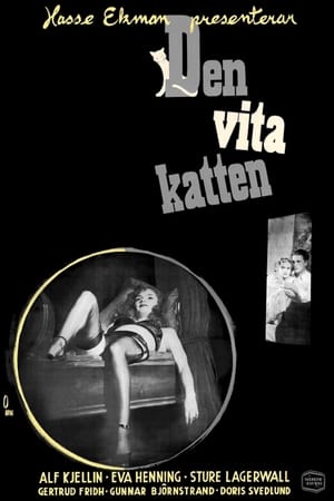 Poster Den vita katten 1950