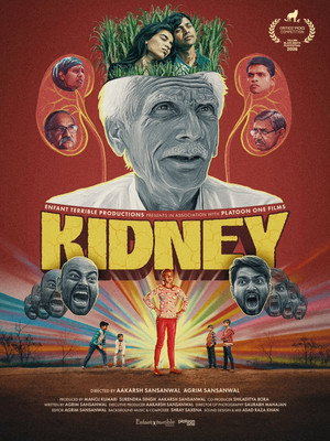 Kidney