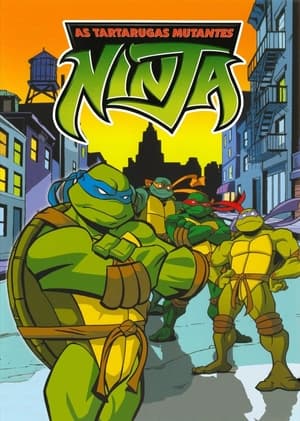 Poster Teenage Mutant Ninja Turtles Temporada 7 Episódio 1 2008