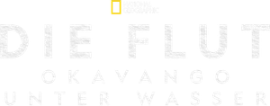 The Flood — Logos 4
