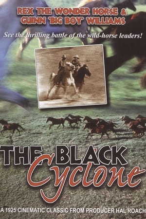 Poster Black Cyclone (1925)