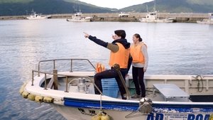 Journeys in Japan: 11×21