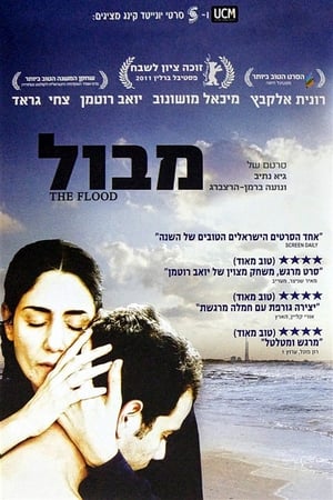 Poster Mabul 2011