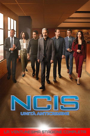 NCIS - Unità anticrimine: Stagione 21
