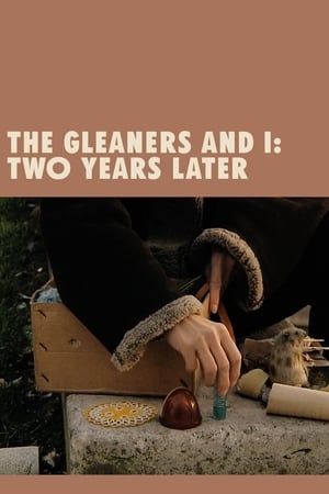 Poster The Gleaners and I: Two Years Later (2002)