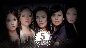 poster 5 Viudas Sueltas