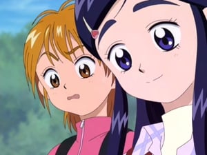 Pretty Cure: 1×6