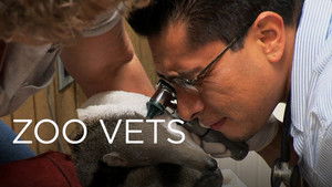 Zoo Vets