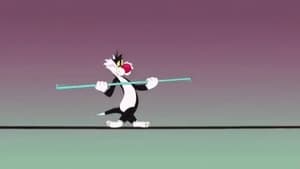 Looney Tunes Cartoons High Wire