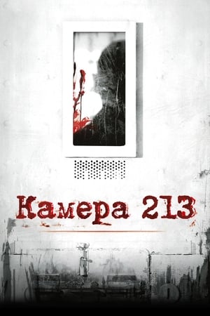 Poster Камера 213 2011