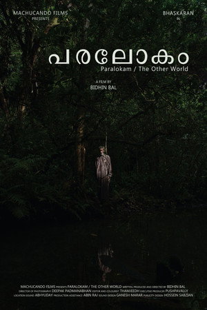 Poster for The Other World