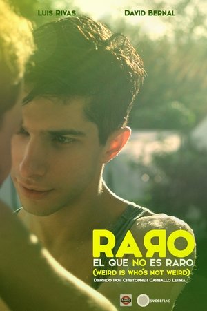 Poster Raro el que no es raro 2015