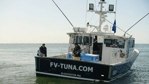 Wicked Tuna: Outer Banks Showdown Fire on the Little Shell